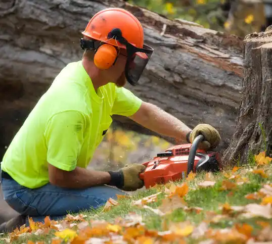 tree services Olympian Village